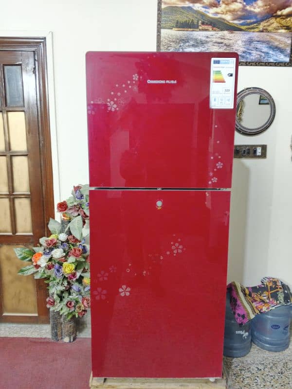 Brand New Fridge Special Edition Colour 0