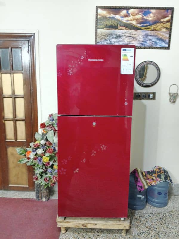 Brand New Fridge Special Edition Colour 4