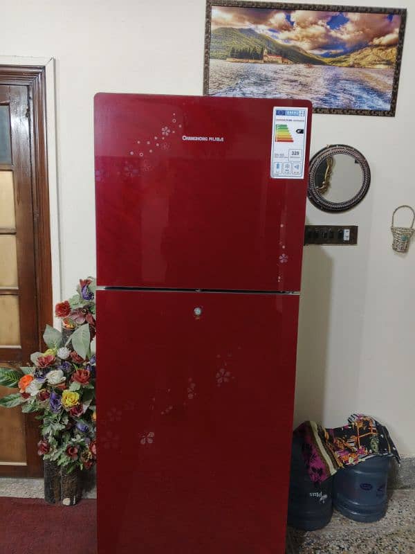 Brand New Fridge Special Edition Colour 13