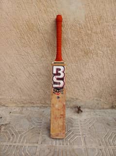 cricket bat