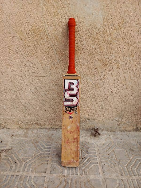 cricket bat 0