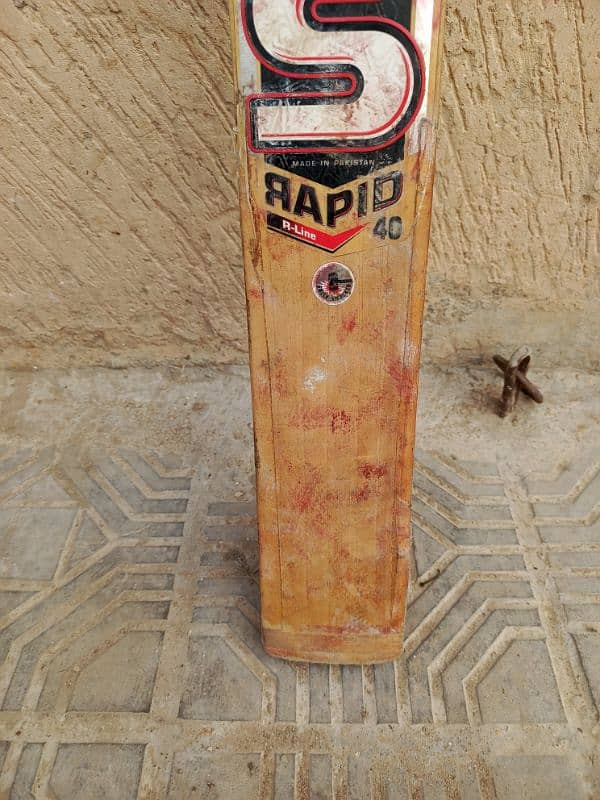 cricket bat 1