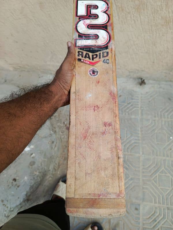 cricket bat 6