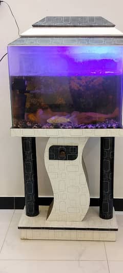 Fish Aquarium Complete Set