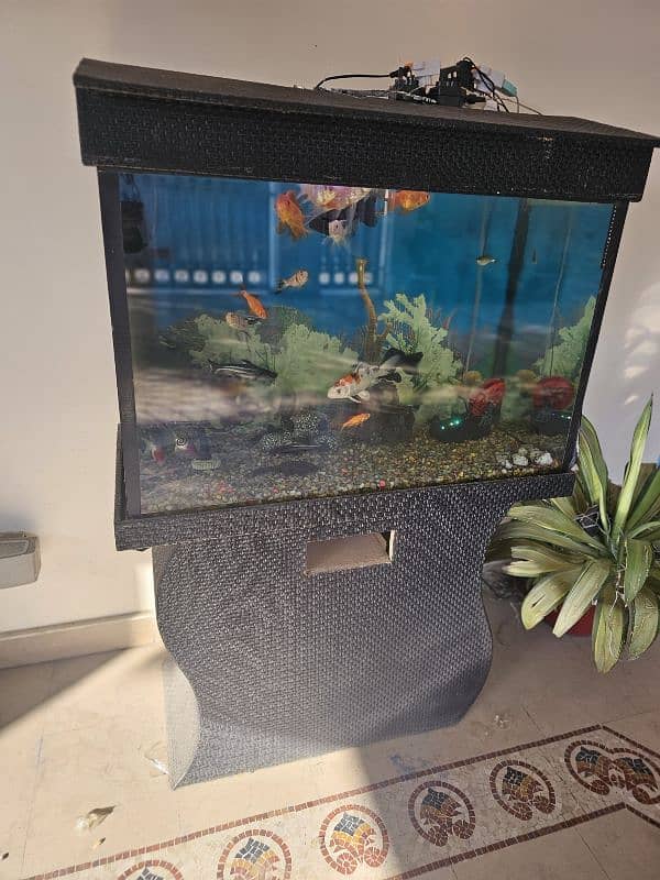 aquarium for sale. 0