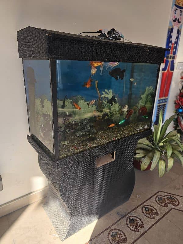 aquarium for sale. 1