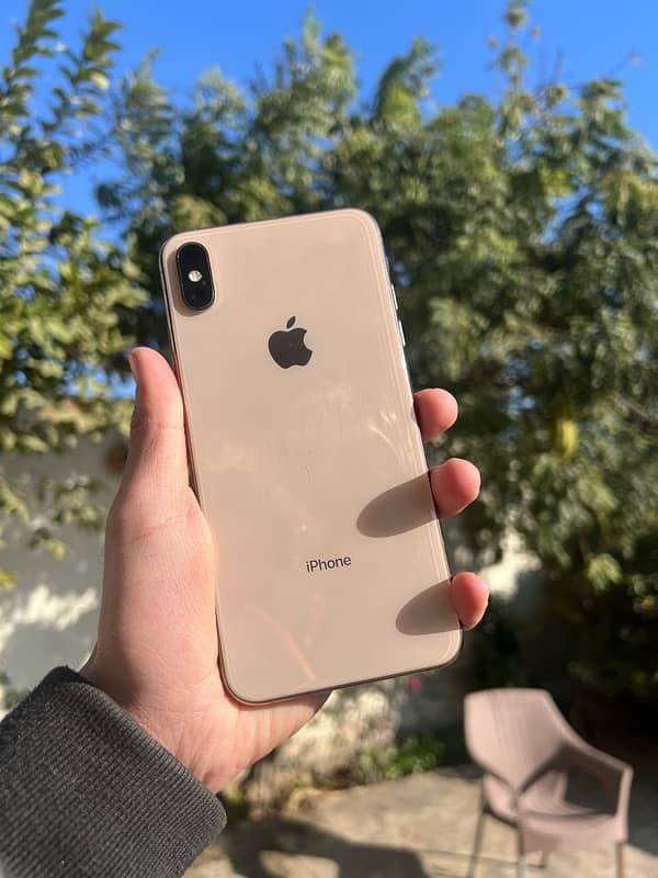 iPhone Xs Max 1