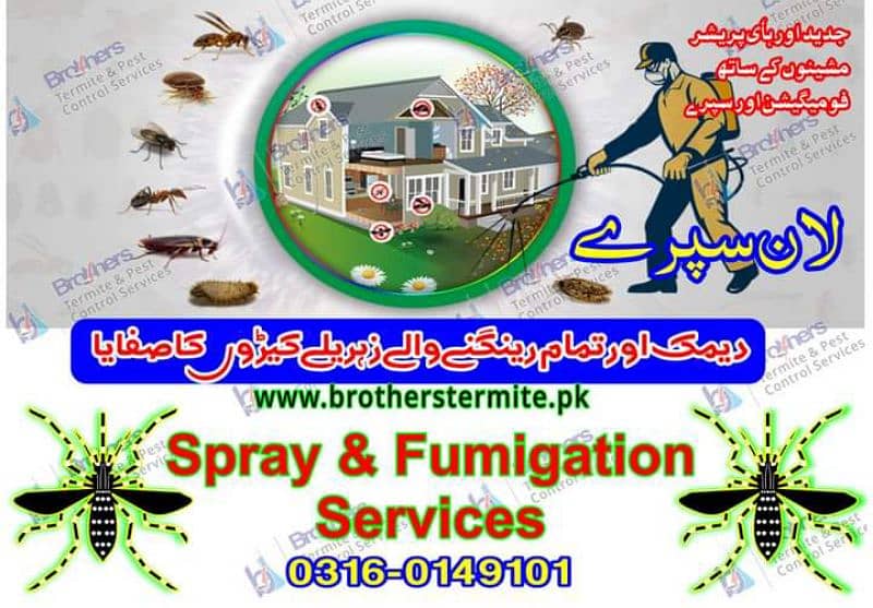 Termite Control,Pest Control, Fumigation Spray, Deemak Control dengue 0