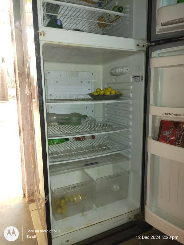 full size refrigerator 4