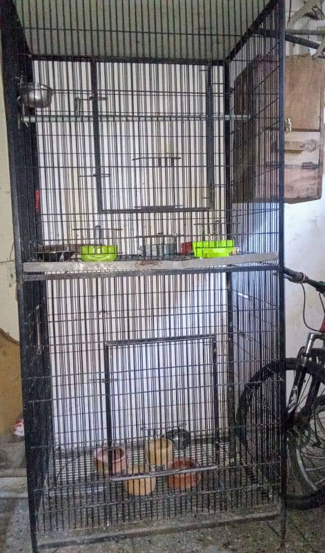 Double cage pinjra 0