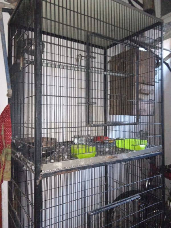 Double cage pinjra 2