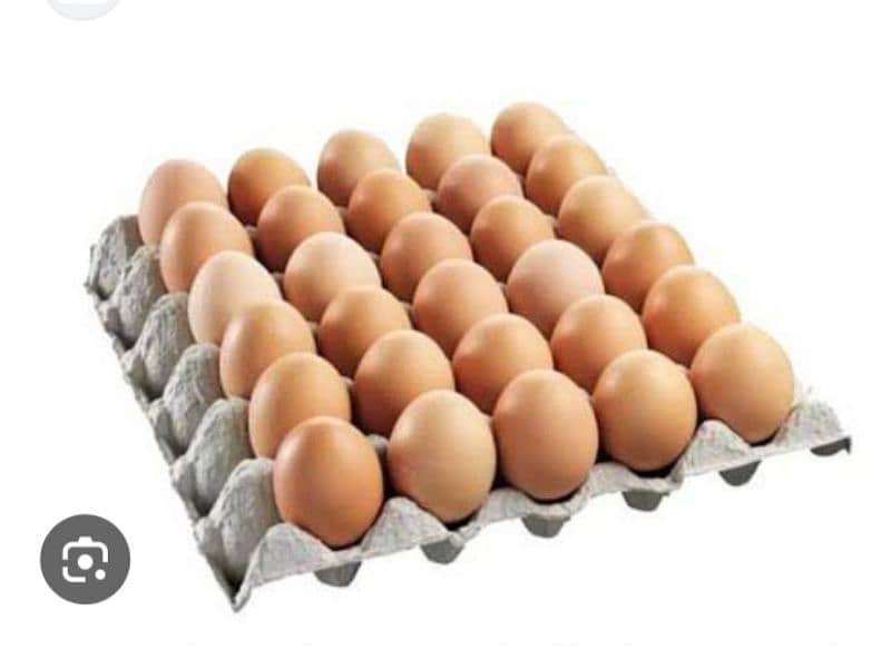 fresh desi eggs for sale 0