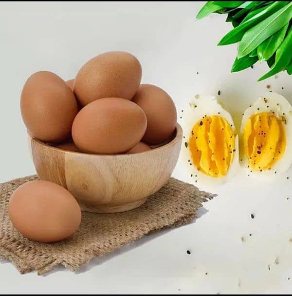 fresh desi eggs for sale 1