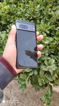 pixel 7 non pta read add