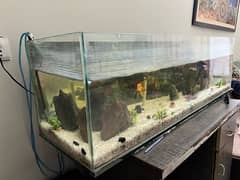 Aquarium for sale in throwaway price