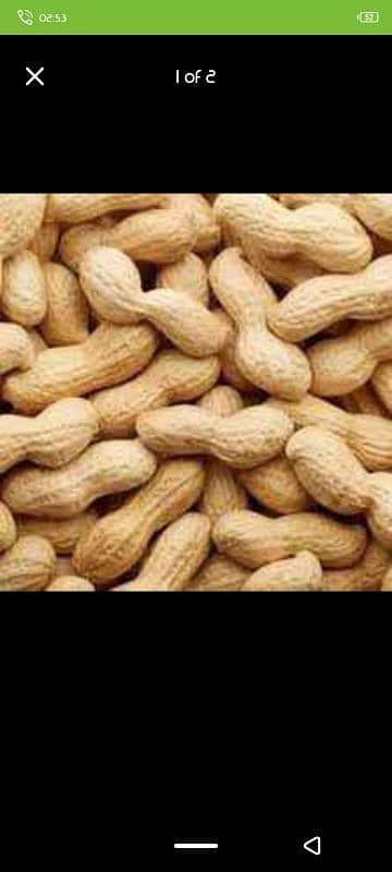 peanut Fresh 1