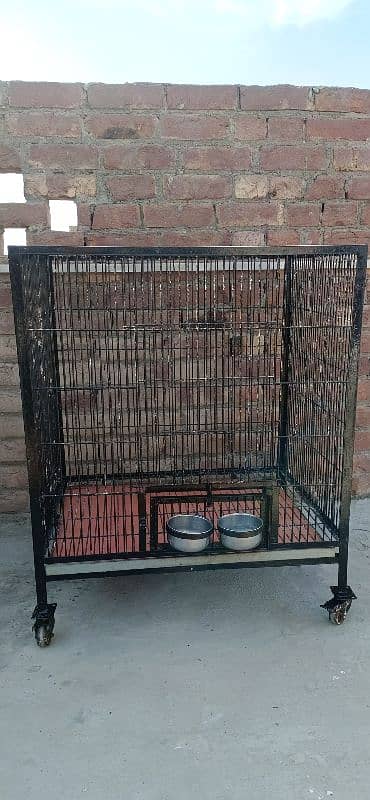 birds Cage for sale 2