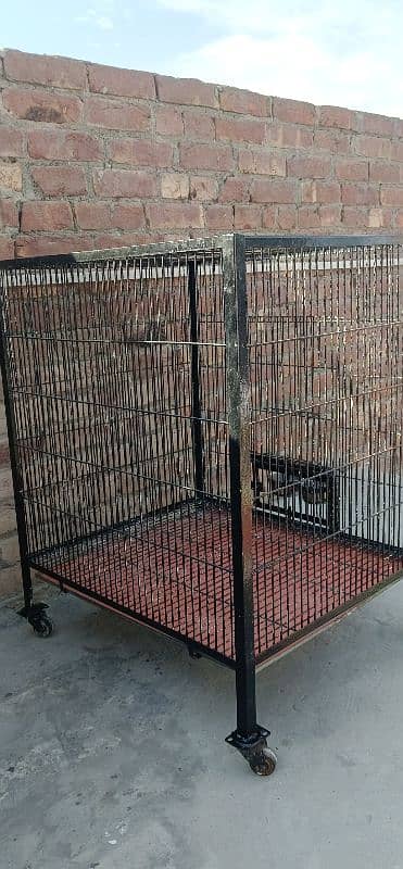 birds Cage for sale 3