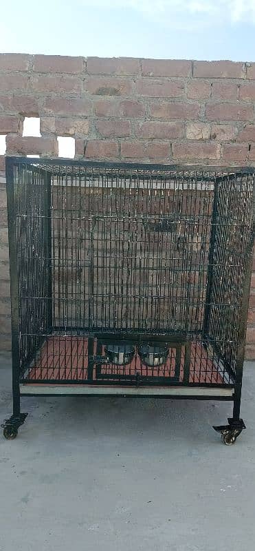 birds Cage for sale 4