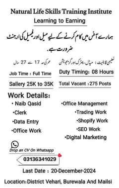 Hiring male and female staff for office work