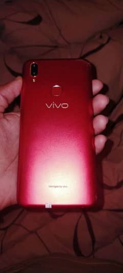 Vivo