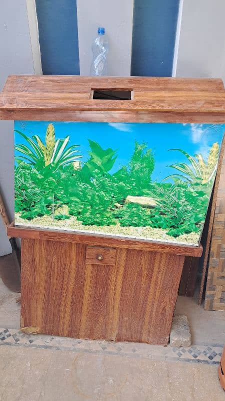 Fish Aquarium 0