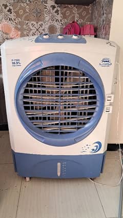 Puma Room Air Cooler -First User