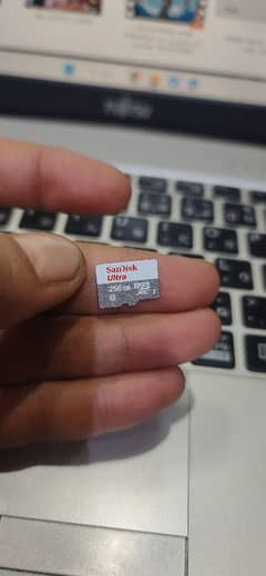 SanDiskUltra 256Gb Original use