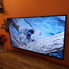 TCL 4K UHD android led tv 50 inch