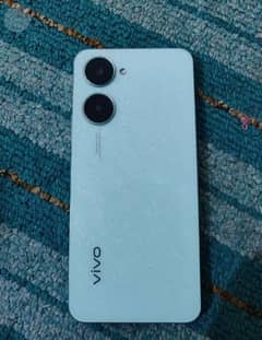 vivo