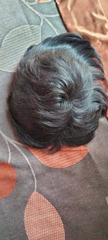 Wig For Men 1