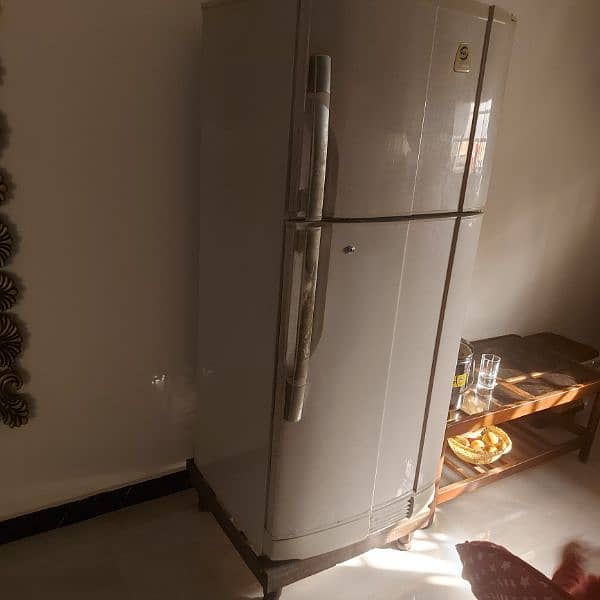 PEL Big size Fridge 0