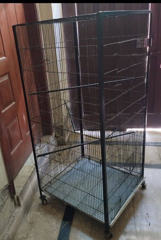 cage 5ft 0