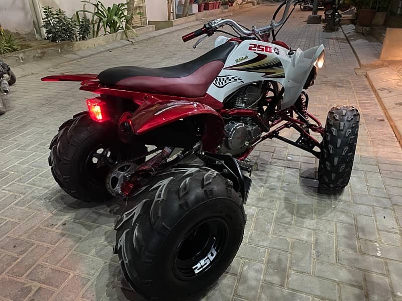 Yamaha Raptor 250 8