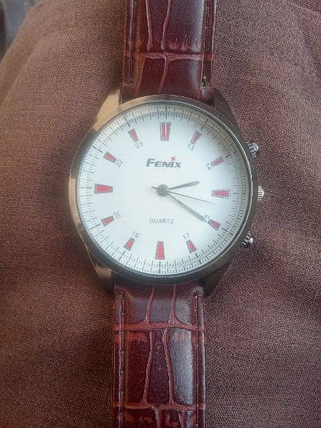 Fenix watch 2