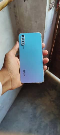 vivo