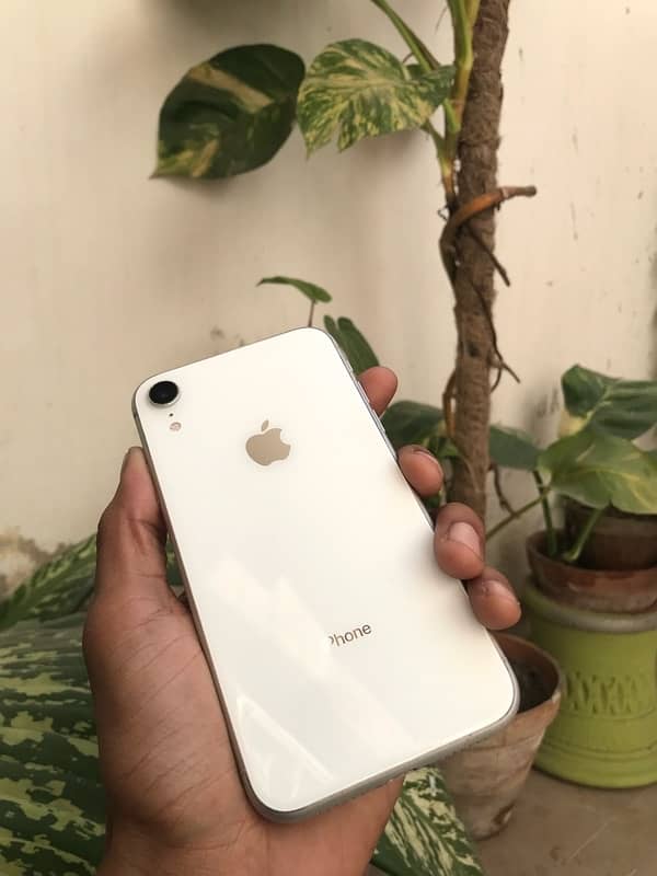 Iphone Xr 64gb In unique white color. 0