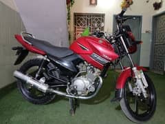 my ybr 125 cc for seal