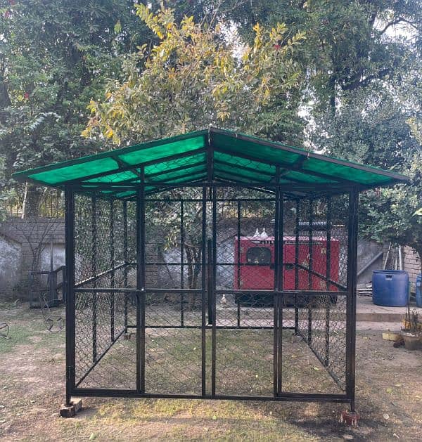 Cage for birds animals 3