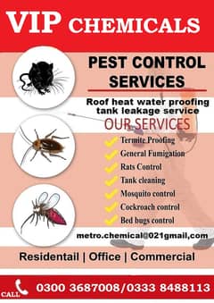 Pest control Fumigation Termite expert services in karachi