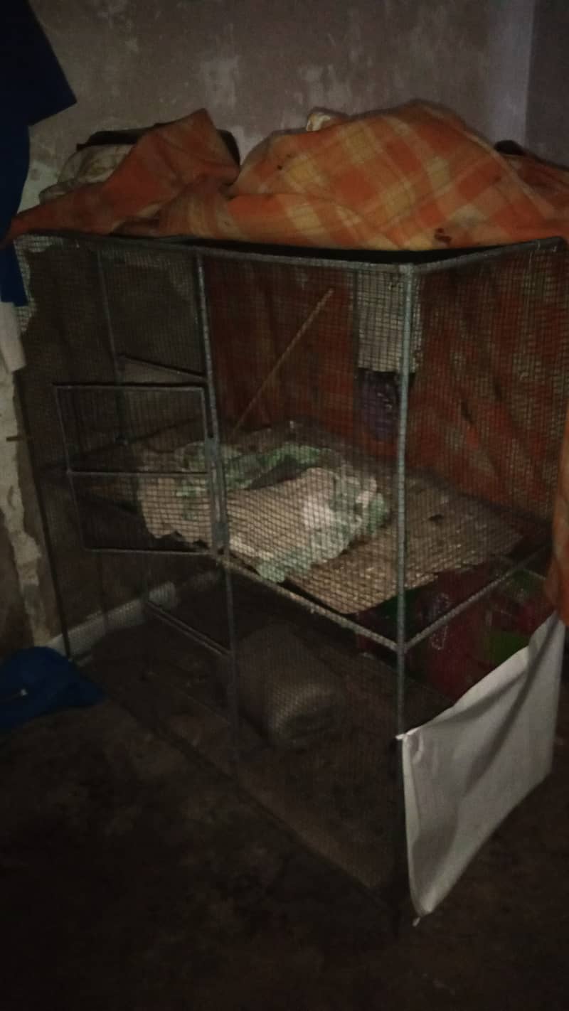 pinjra Bird cage 1