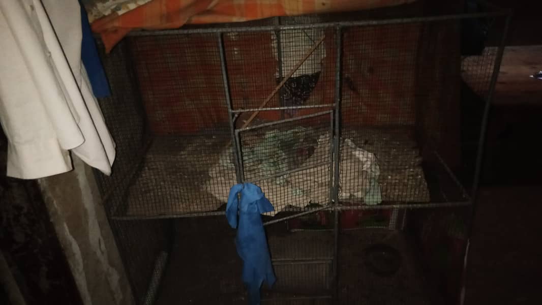 pinjra Bird cage 3