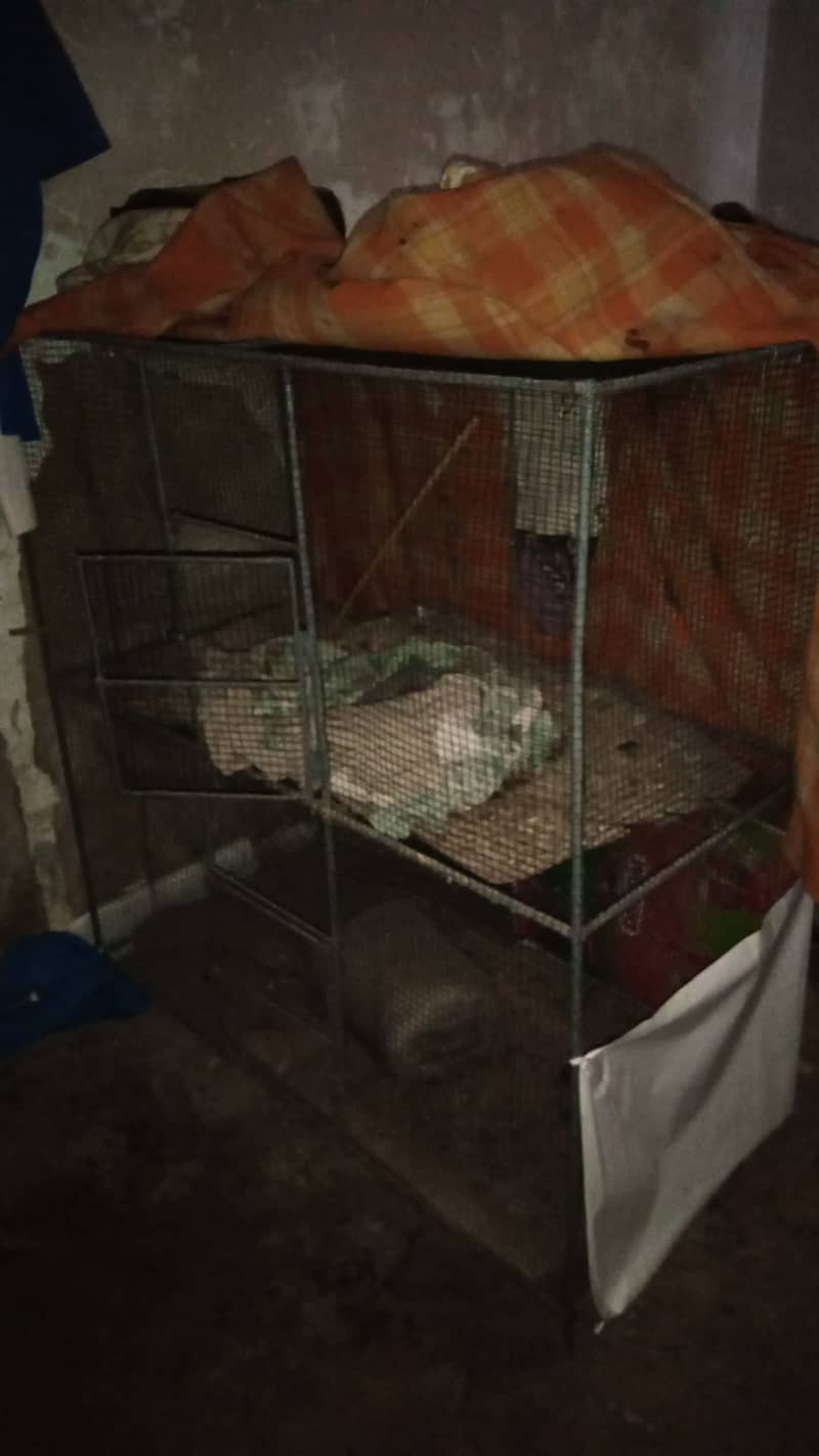 pinjra Bird cage 4