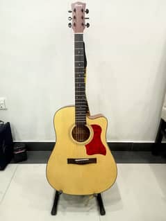 Ibanez Orignal Acoustic Guitar