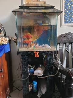 Fish with Aquarium