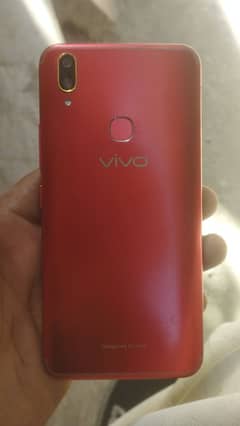 vivo