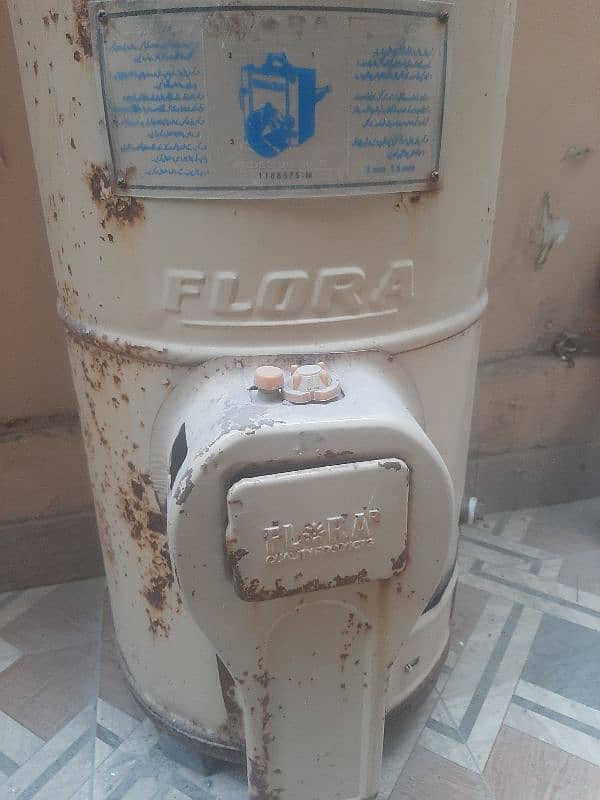 Flora Geyser for sale Just 3 years used 5