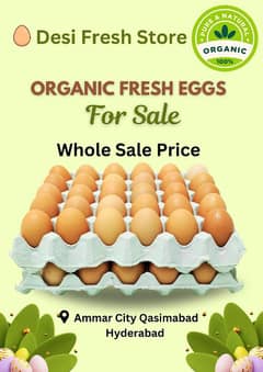 Organic Fresh Eggs