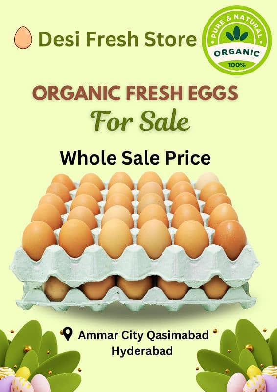 Organic Fresh Eggs 0