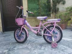 Cycle For 8 - 11 y/o Kids | Girls Theme Cycle | Pink Colour Cycle